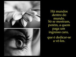 Há mundos dentro do mundo. Só se mostram, porém, a quem paga um  ingresso caro,  que é dedicar-se  a vê-los. 