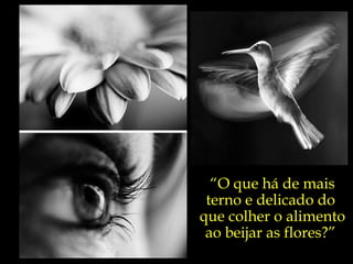 “ O que há de mais terno e delicado do  que colher o alimento  ao beijar as flores?”  
