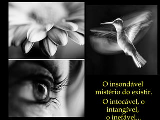 O insondável  mistério do existir. O intocável, o intangível,  o inefável... 