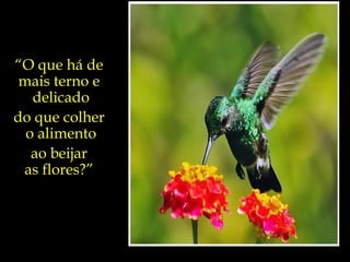 “ O que há de  mais terno e  delicado do que colher  o alimento ao beijar  as flores?”  
