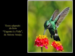 O intocável,  o intangível,  o inefável... O insondável  mistério  do existir. Texto adaptado  do livro “ Urgente é a Vida”,  de Alcione Araújo. 