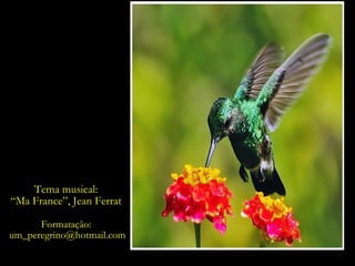 Texto adaptado  do livro “ Urgente é a Vida”,  de Alcione Araújo. Formatação:  [email_address] Tema musical:  “ Ma France”, Jean Ferrat  