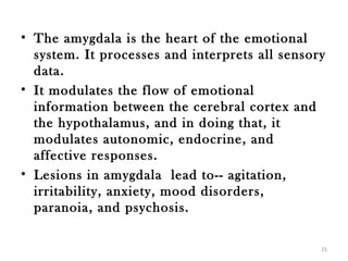 • The amygdala is the heart of the emotional
  system. It processes and interprets all sensory
  data.
• It modulates the flow of emotional
  information between the cerebral cortex and
  the hypothalamus, and in doing that, it
  modulates autonomic, endocrine, and
  affective responses.
• Lesions in amygdala lead to-- agitation,
  irritability, anxiety, mood disorders,
  paranoia, and psychosis.

                                                15
 