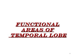 FUNCTIONAL
  AREAS OF
TEMPORAL LOBE


                19
 