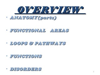 0VERVIEW
• ANATOMY(parts)

• FUNCTIONAL   AREAS

• LOOPS & PATHWAYS

• FUNCTIONS

• DISORDERS            2
 