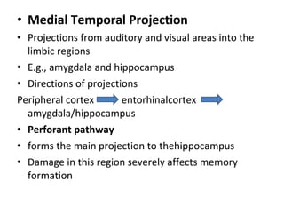 • Medial Temporal Projection
• Projections from auditory and visual areas into the
  limbic regions
• E.g., amygdala and hippocampus
• Directions of projections
Peripheral cortex       entorhinalcortex
  amygdala/hippocampus
• Perforant pathway
• forms the main projection to thehippocampus
• Damage in this region severely affects memory
  formation
 