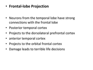 • Frontal-lobe Projection

• Neurons from the temporal lobe have strong
  connections with the frontal lobe
• Posterior temporal cortex
• Projects to the dorsolateral prefrontal cortex
• anterior temporal cortex
• Projects to the orbital frontal cortex
• Damage leads to terrible life decisions
 