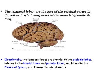 • The temporal lobes, are the part of the cerebral cortex in
  the left and right hemispheres of the brain lying inside the
  temples.




• Directionally, the temporal lobes are anterior to the occipital lobes,
  inferior to the frontal lobes and parietal lobes, and lateral to the
  Fissure of Sylvius, also known the lateral sulcus                   5
 