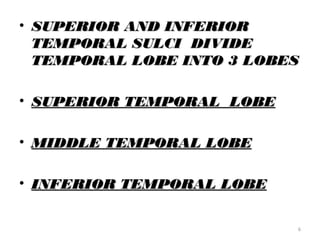 • SUPERIOR AND INFERIOR
  TEMPORAL SULCI DIVIDE
  TEMPORAL LOBE INTO 3 LOBES

• SUPERIOR TEMPORAL LOBE

• MIDDLE TEMPORAL LOBE

• INFERIOR TEMPORAL LOBE


                           6
 