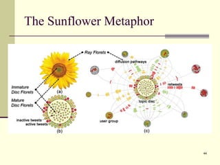 The Sunflower Metaphor
44
 