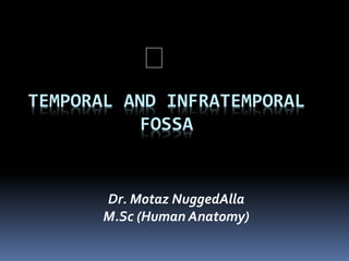 TEMPORAL AND INFRATEMPORAL
FOSSA
Dr. Motaz NuggedAlla
M.Sc (Human Anatomy)
 