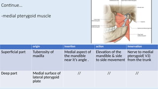 Comprehensive Anatomy of Temporal and Infratemporal Fossae: Boundaries ...