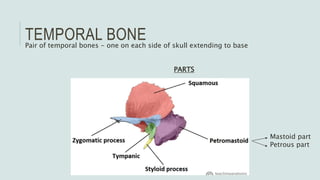 Temporal and infratemporal regions | PPTX