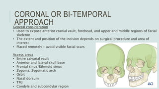 Temporal and infratemporal regions | PPTX