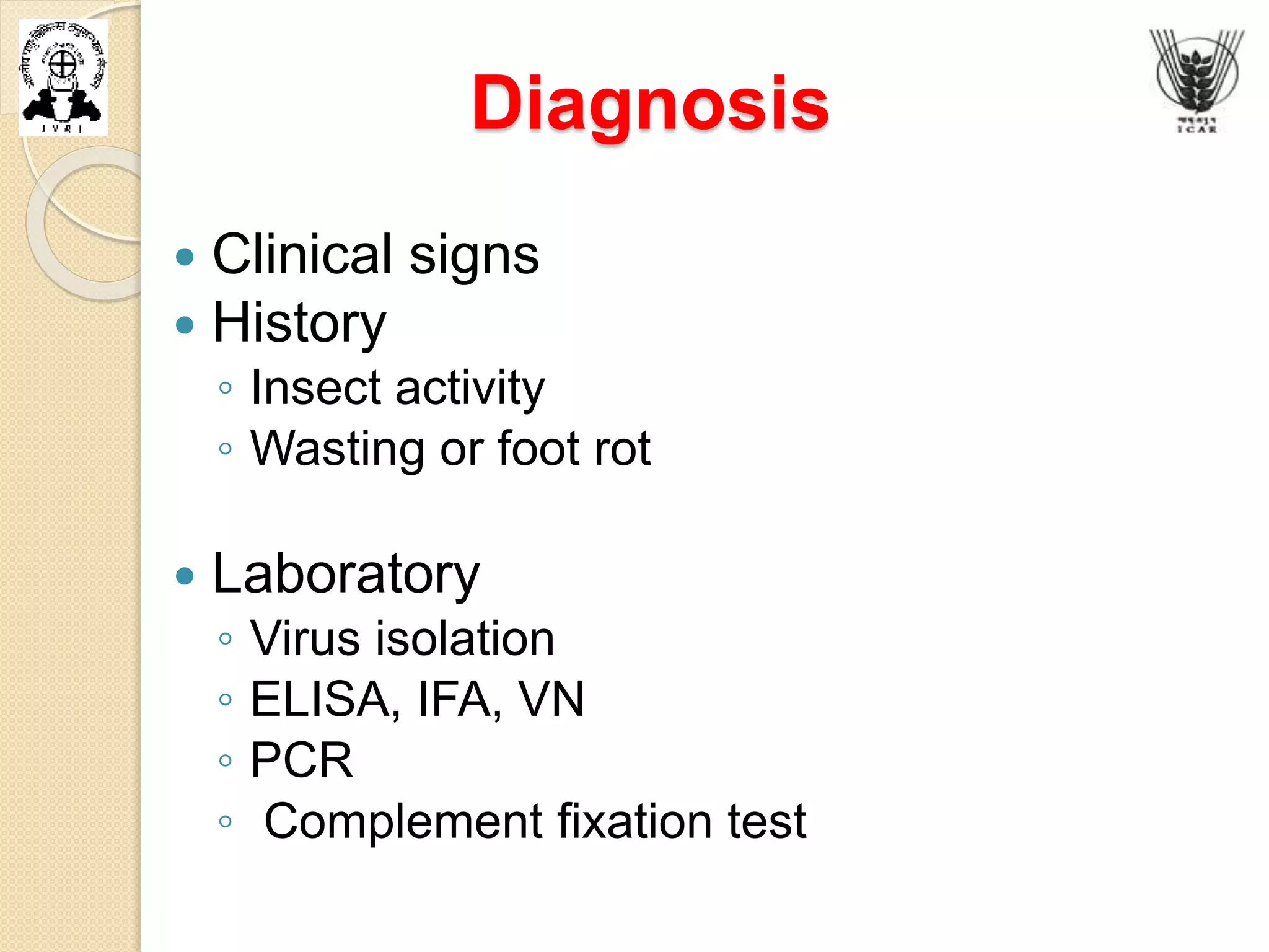 Diagnosis
 Clinical signs
 History
◦ Insect activity
◦ Wasting or foot rot
 Laboratory
◦ Virus isolation
◦ ELISA, IFA, VN
◦ PCR
◦ Complement fixation test
 