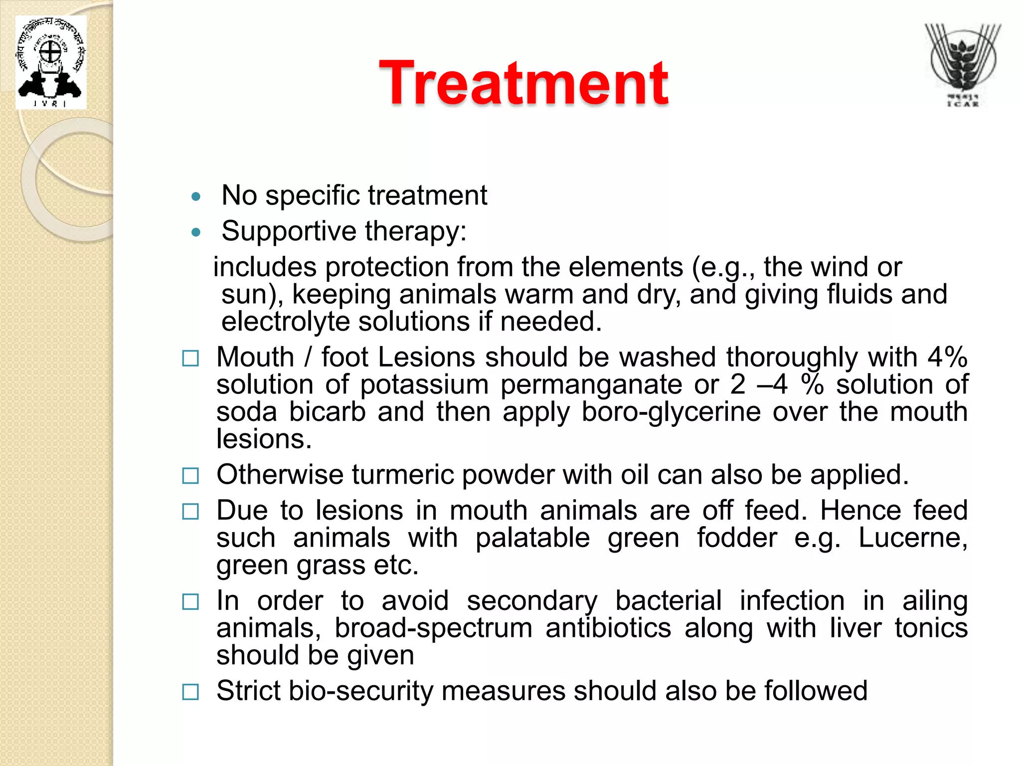 Treatment
 No specific treatment
 Supportive therapy:
includes protection from the elements (e.g., the wind or
sun), keeping animals warm and dry, and giving fluids and
electrolyte solutions if needed.
 Mouth / foot Lesions should be washed thoroughly with 4%
solution of potassium permanganate or 2 –4 % solution of
soda bicarb and then apply boro-glycerine over the mouth
lesions.
 Otherwise turmeric powder with oil can also be applied.
 Due to lesions in mouth animals are off feed. Hence feed
such animals with palatable green fodder e.g. Lucerne,
green grass etc.
 In order to avoid secondary bacterial infection in ailing
animals, broad-spectrum antibiotics along with liver tonics
should be given
 Strict bio-security measures should also be followed
 