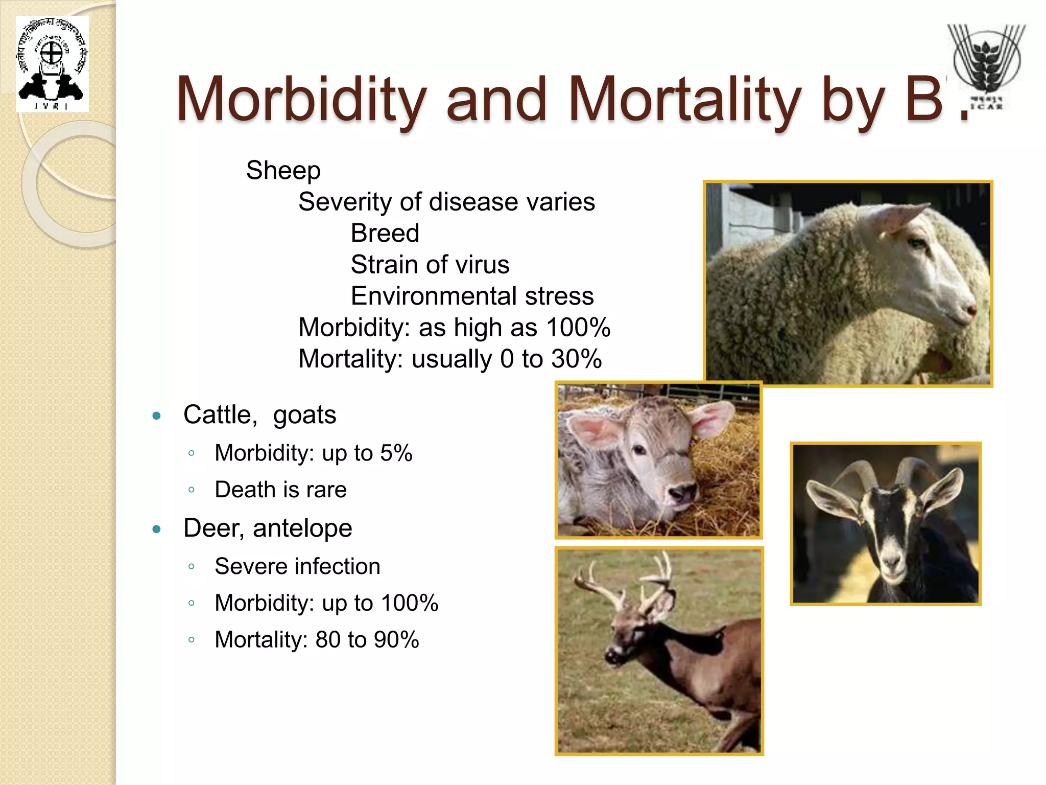 Morbidity and Mortality by BT
Sheep
Severity of disease varies
Breed
Strain of virus
Environmental stress
Morbidity: as high as 100%
Mortality: usually 0 to 30%
 Cattle, goats
◦ Morbidity: up to 5%
◦ Death is rare
 Deer, antelope
◦ Severe infection
◦ Morbidity: up to 100%
◦ Mortality: 80 to 90%
 