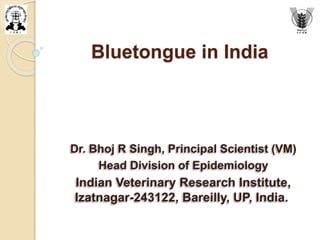 Bluetongue in India
Dr. Bhoj R Singh, Principal Scientist (VM)
Head Division of Epidemiology
Indian Veterinary Research Institute,
Izatnagar-243122, Bareilly, UP, India.
 