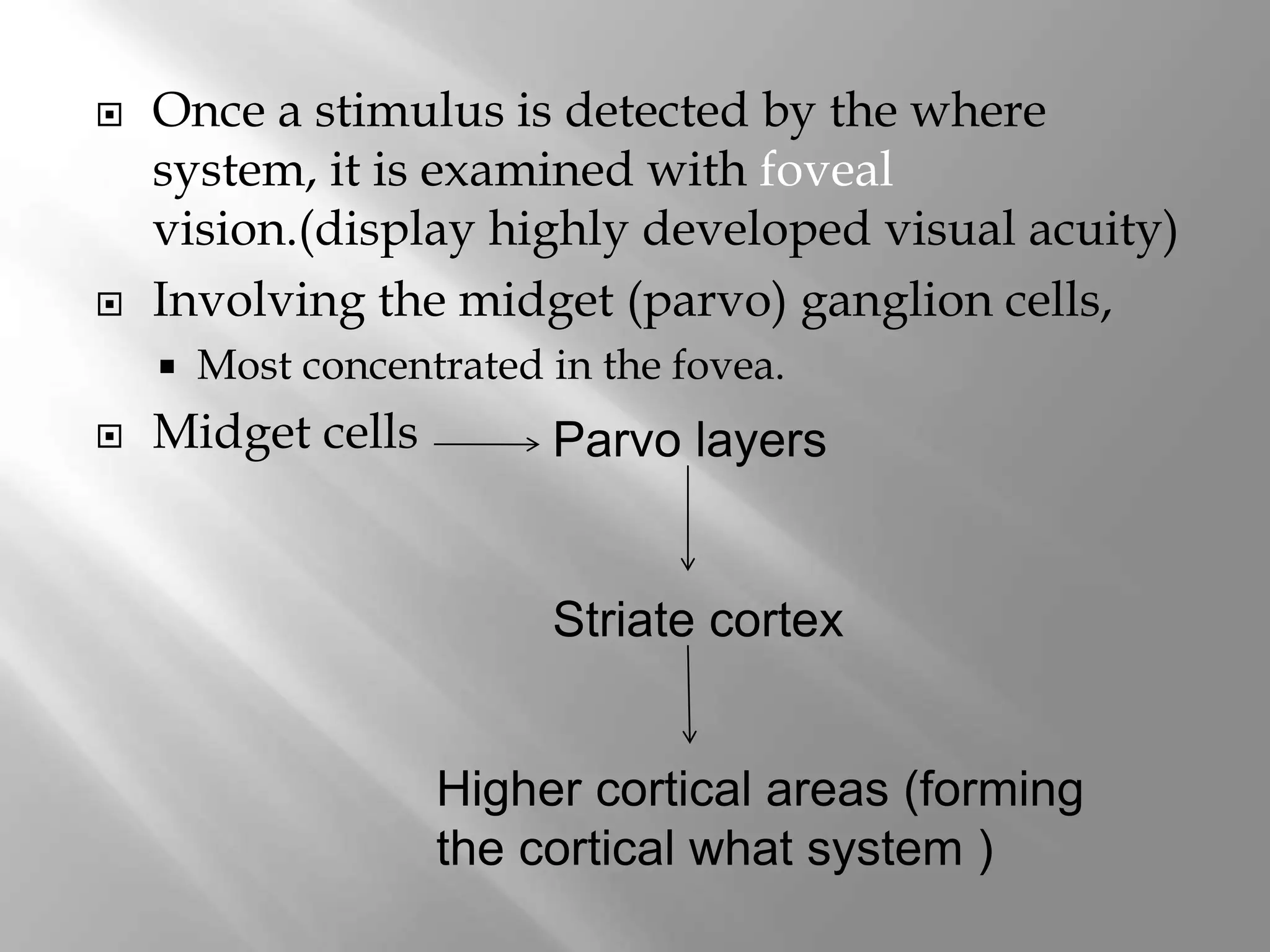  Once a stimulus is detected by the where
system, it is examined with foveal
vision.(display highly developed visual acuity)
 Involving the midget (parvo) ganglion cells,
 Most concentrated in the fovea.
 Midget cells Parvo layers
Striate cortex
Higher cortical areas (forming
the cortical what system )
 