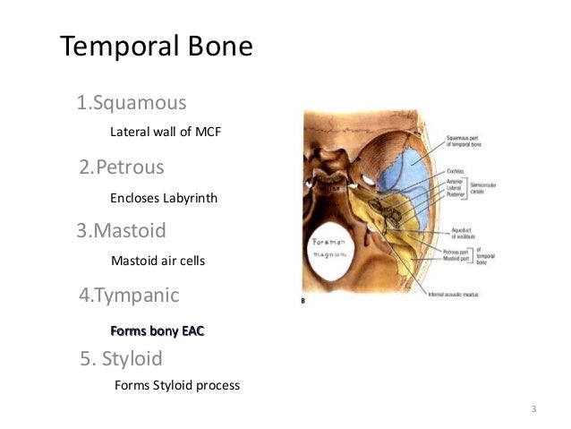 Temporal bone radiology