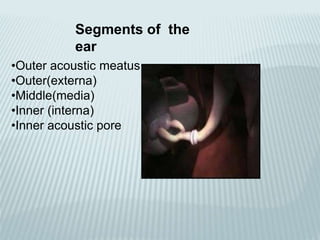 Segments of the
ear
•Outer acoustic meatus
•Outer(externa)
•Middle(media)
•Inner (interna)
•Inner acoustic pore
 