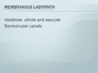 MEMBRANOUS LABYRINTH
Vestibule: utricle and saccule
Semicircular canals
 