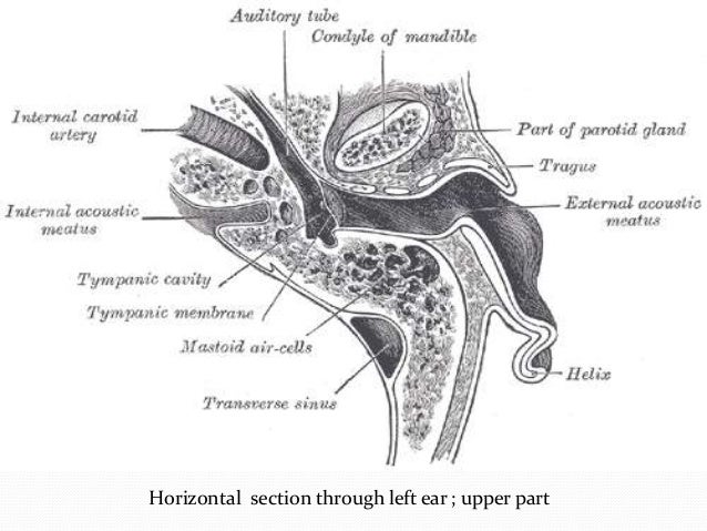 IMAGING OF TEMPORAL BONE
