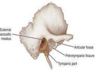 Temporal Bone and Facial Nerve Anatomy | PPTX