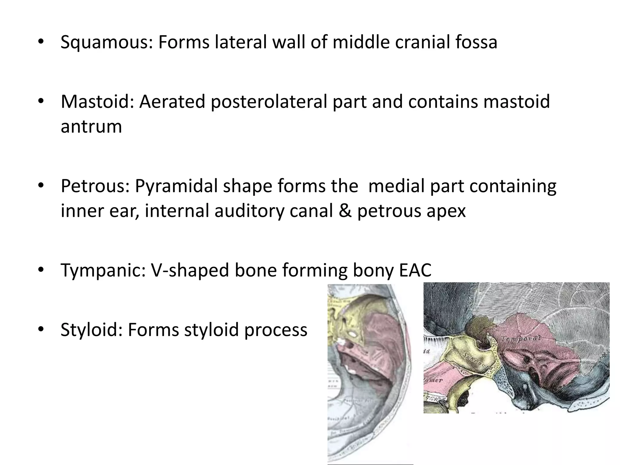 • Squamous: Forms lateral wall of middle cranial fossa
• Mastoid: Aerated posterolateral part and contains mastoid
antrum
• Petrous: Pyramidal shape forms the medial part containing
inner ear, internal auditory canal & petrous apex
• Tympanic: V-shaped bone forming bony EAC
• Styloid: Forms styloid process
 