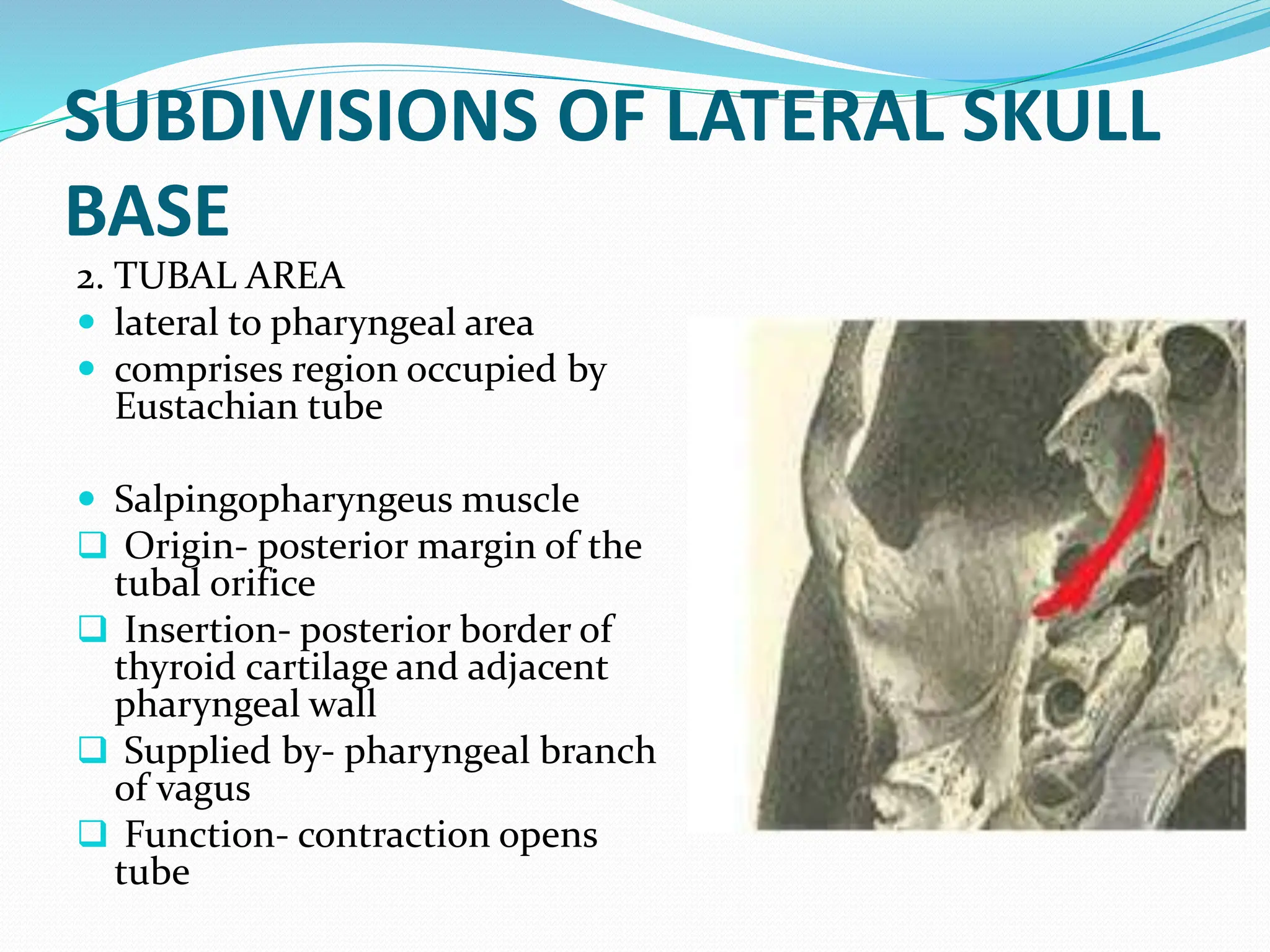Temporal bone anatomy and surgical significancepptx | PPTX