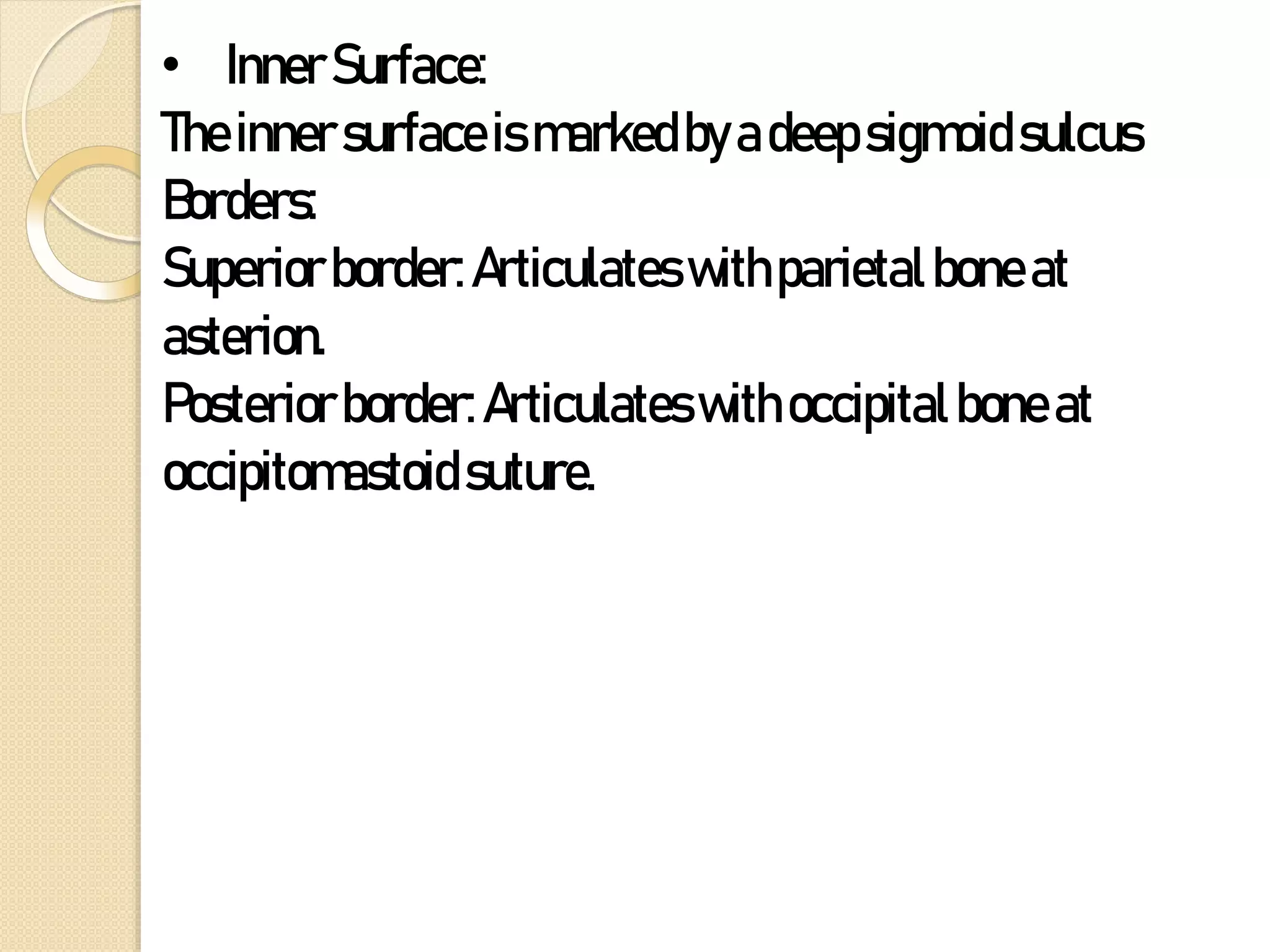 • InnerSurface:
Theinnersurfaceismarkedbyadeepsigmoidsulcus
Borders:
Superiorborder:Articulateswithparietalboneat
asterion.
Posteriorborder:Articulateswithoccipitalboneat
occipitomastoidsuture.
 