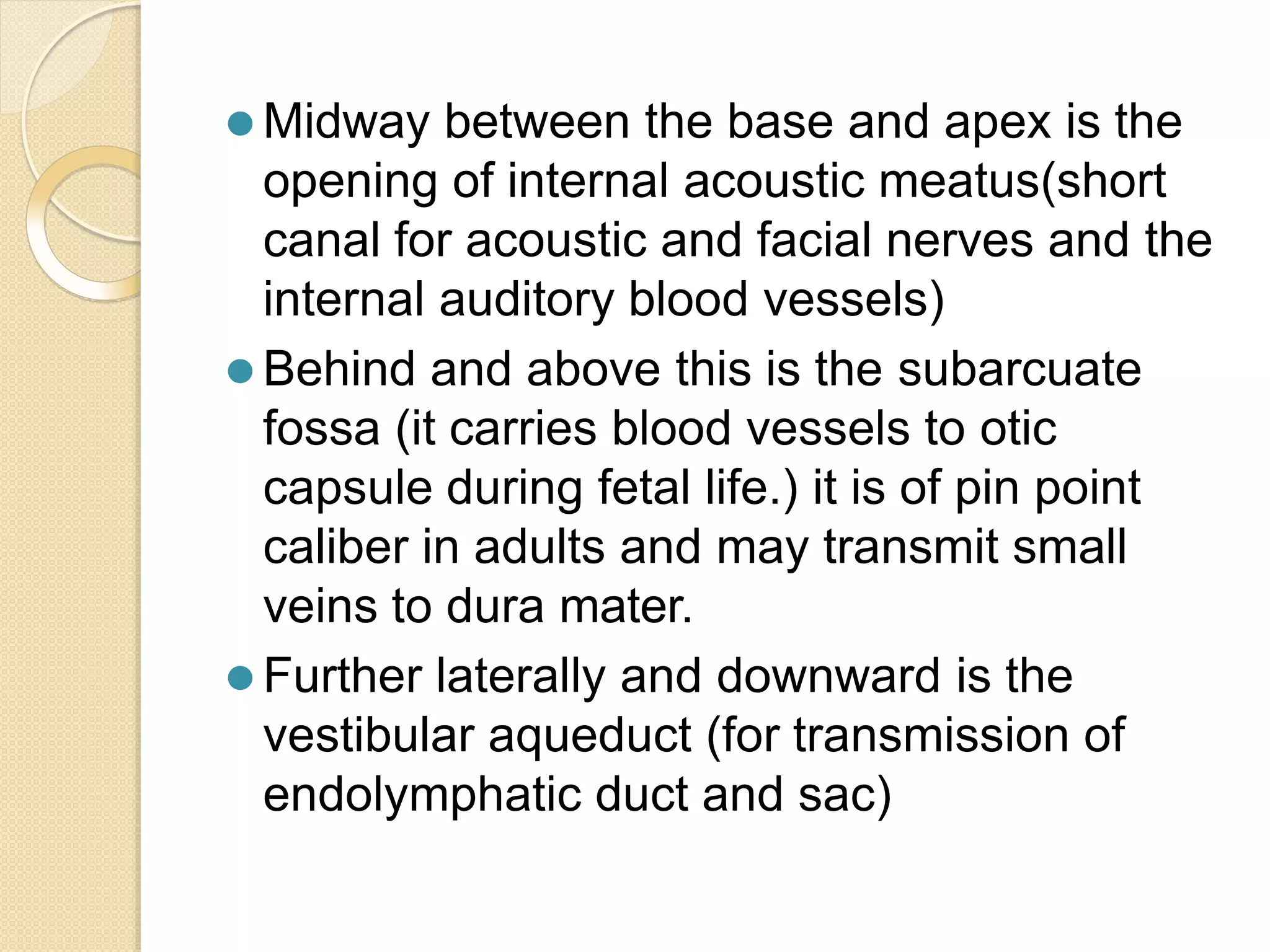 ⚫ Midway between the base and apex is the
opening of internal acoustic meatus(short
canal for acoustic and facial nerves and the
internal auditory blood vessels)
⚫ Behind and above this is the subarcuate
fossa (it carries blood vessels to otic
capsule during fetal life.) it is of pin point
caliber in adults and may transmit small
veins to dura mater.
⚫ Further laterally and downward is the
vestibular aqueduct (for transmission of
endolymphatic duct and sac)
 