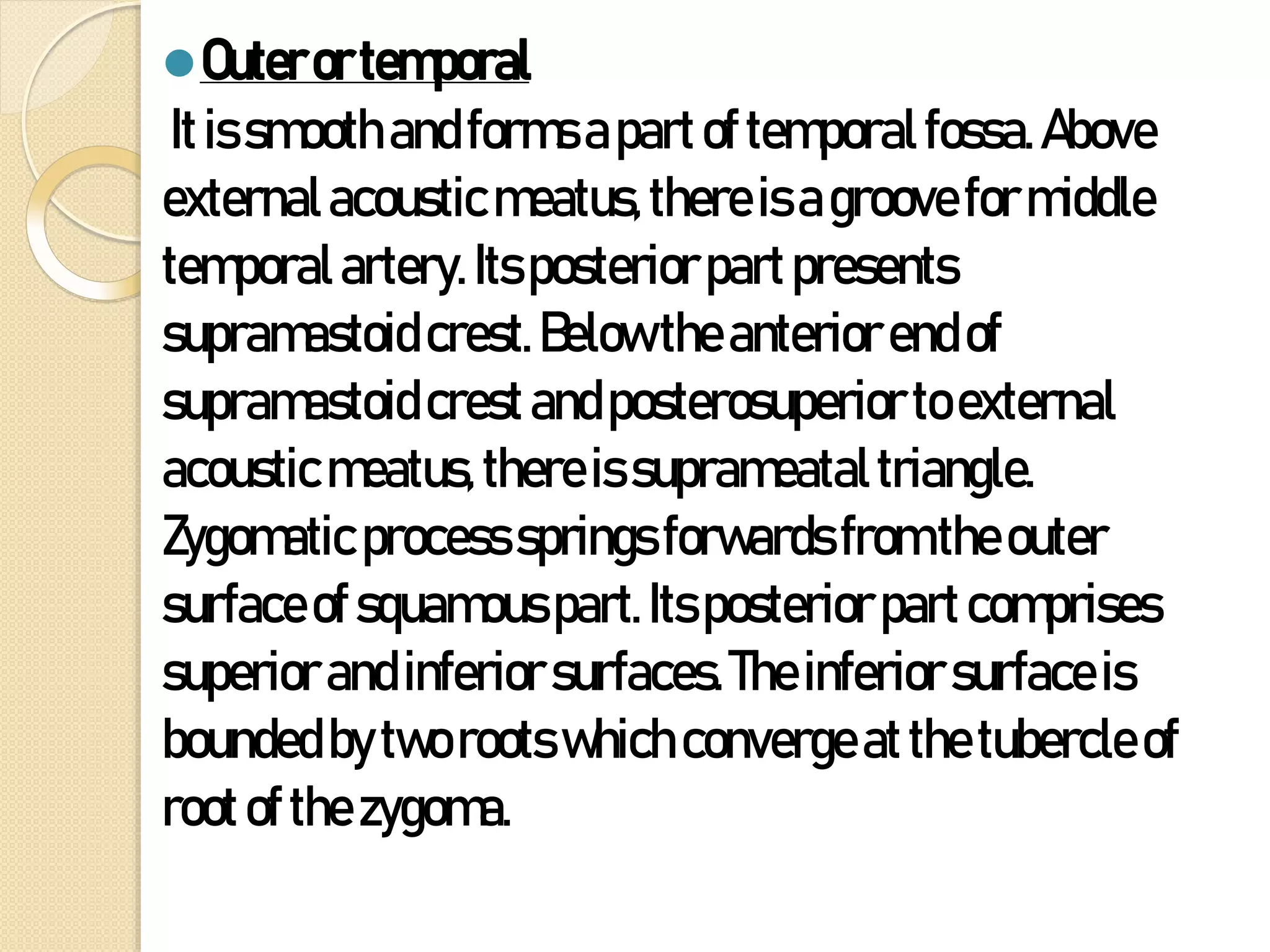 ⚫Outerortemporal
Itissmoothandformsapartoftemporalfossa.Above
externalacousticmeatus,thereisagrooveformiddle
temporalartery.Itsposteriorpartpresents
supramastoidcrest.Belowtheanteriorendof
supramastoidcrestandposterosuperiortoexternal
acousticmeatus,thereis suprameataltriangle.
Zygomaticprocessspringsforwardsfromtheouter
surfaceofsquamouspart.Itsposteriorpartcomprises
superiorandinferiorsurfaces.Theinferiorsurfaceis
boundedbytwo rootswhich convergeatthetubercleof
rootofthezygoma.
 
