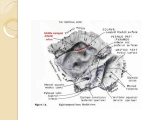 Temporal Bone anatomy ppt.pptx