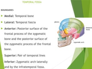 Anatomy of temporal & infratemporal fossa.pptx