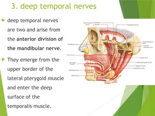 Temporal Innervation Anatomy of temporal & infratemporal fossa.pptx
