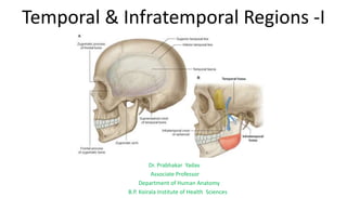 Temporal & Infratemporal Regions -I
Dr. Prabhakar Yadav
Associate Professor
Department of Human Anatomy
B.P. Koirala Institute of Health Sciences
 