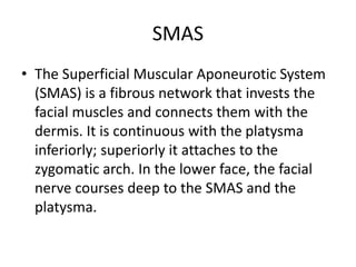 SMAS
• The Superficial Muscular Aponeurotic System
(SMAS) is a fibrous network that invests the
facial muscles and connects them with the
dermis. It is continuous with the platysma
inferiorly; superiorly it attaches to the
zygomatic arch. In the lower face, the facial
nerve courses deep to the SMAS and the
platysma.
 
