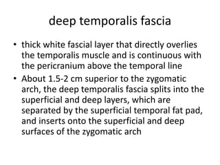 Temporalis muscle flap