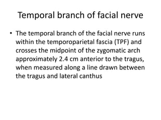 Temporalis muscle flap