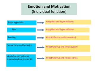 temporal lobe.pptx
