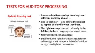 Anatomy, Functions and corelations of Temporal lobe | PPTX