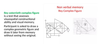 Anatomy, Functions and corelations of Temporal lobe | PPTX