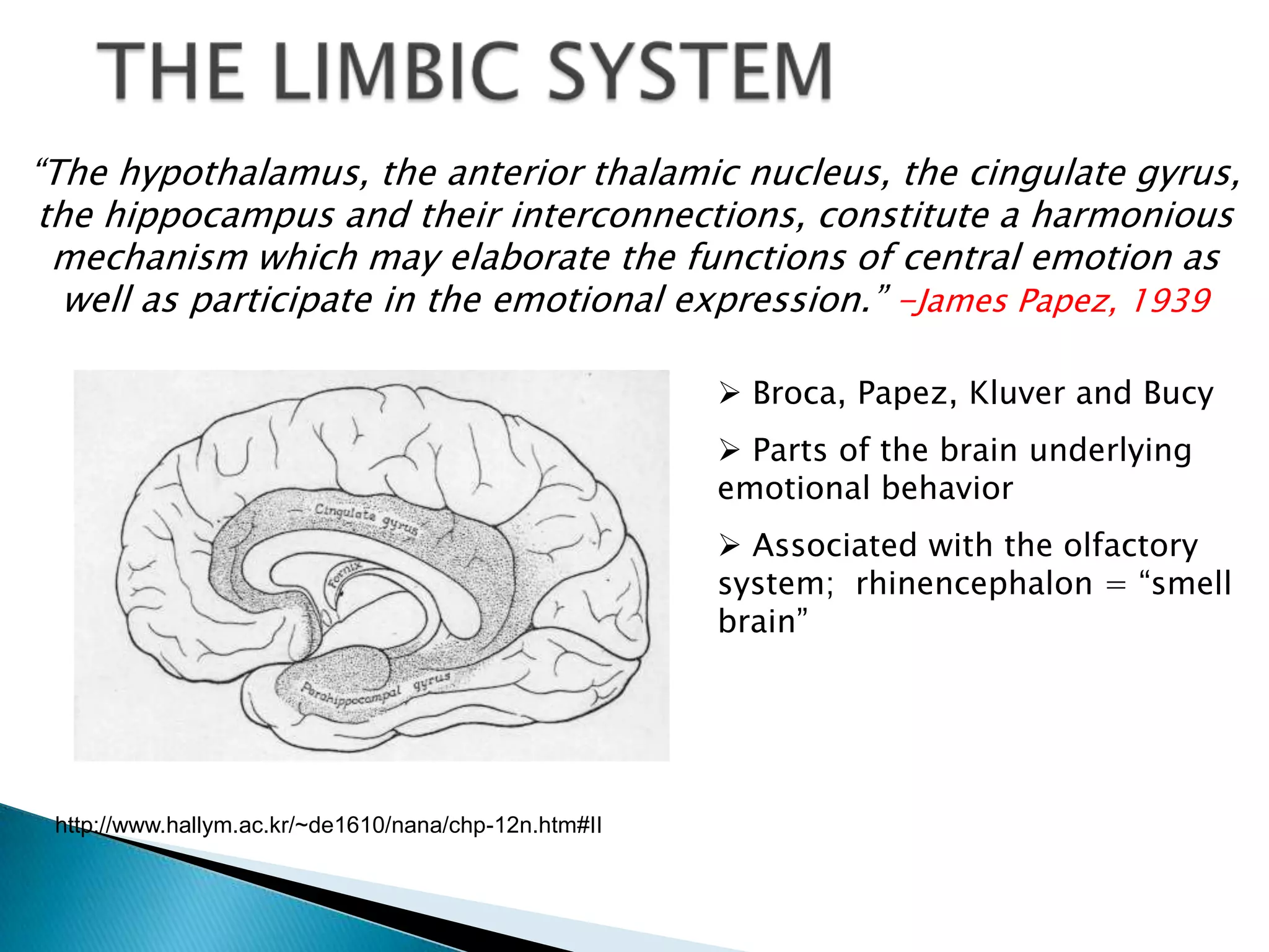 ―The hypothalamus, the anterior thalamic nucleus, the cingulate gyrus,
 the hippocampus and their interconnections, constitute a harmonious
  mechanism which may elaborate the functions of central emotion as
   well as participate in the emotional expression.‖ -James Papez, 1939

                                                        Broca, Papez, Kluver and Bucy
                                                        Parts of the brain underlying
                                                       emotional behavior
                                                        Associated with the olfactory
                                                       system; rhinencephalon = ―smell
                                                       brain‖




 http://www.hallym.ac.kr/~de1610/nana/chp-12n.htm#II
 