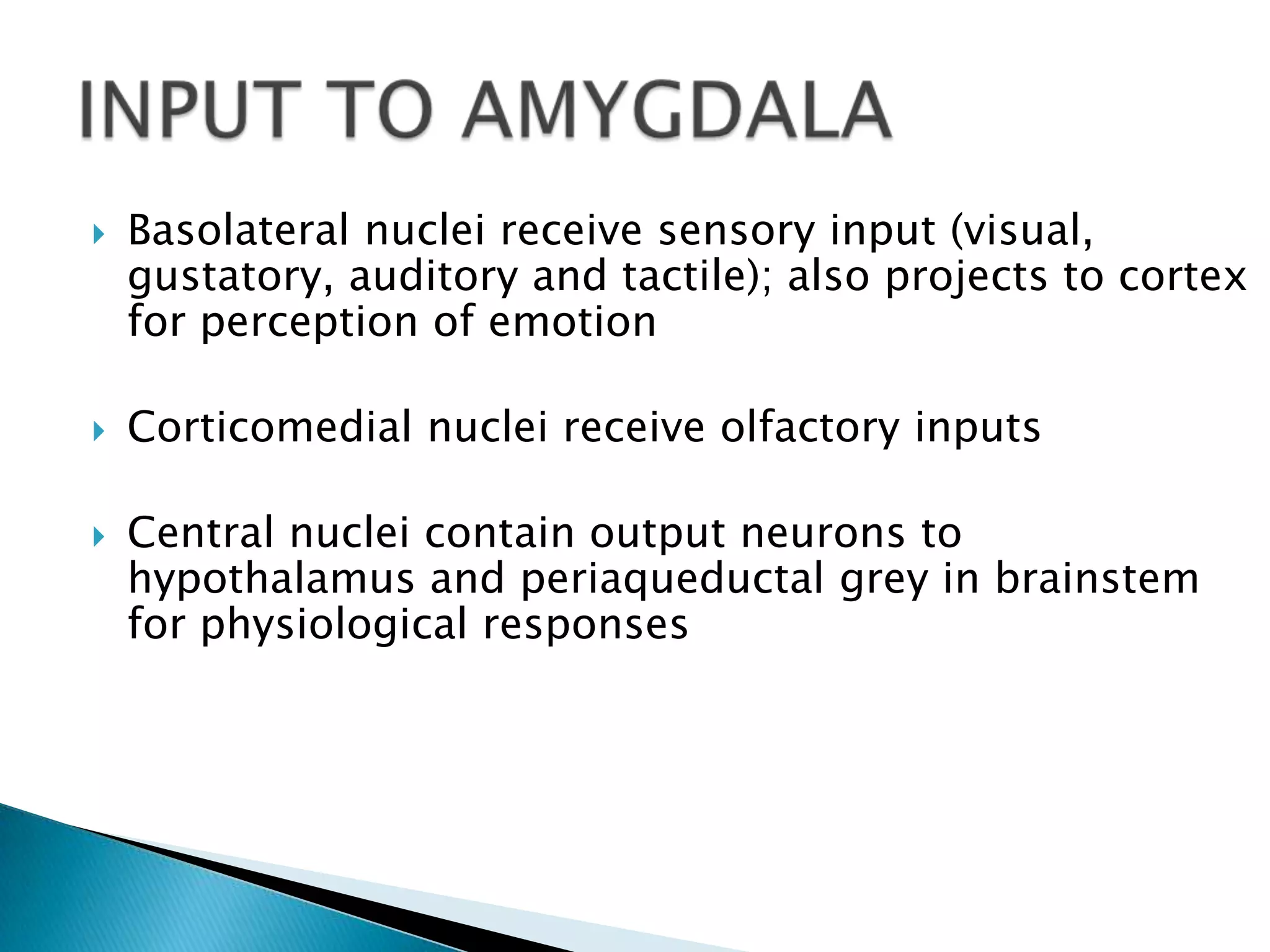    Basolateral nuclei receive sensory input (visual,
    gustatory, auditory and tactile); also projects to cortex
    for perception of emotion

   Corticomedial nuclei receive olfactory inputs

   Central nuclei contain output neurons to
    hypothalamus and periaqueductal grey in brainstem
    for physiological responses
 