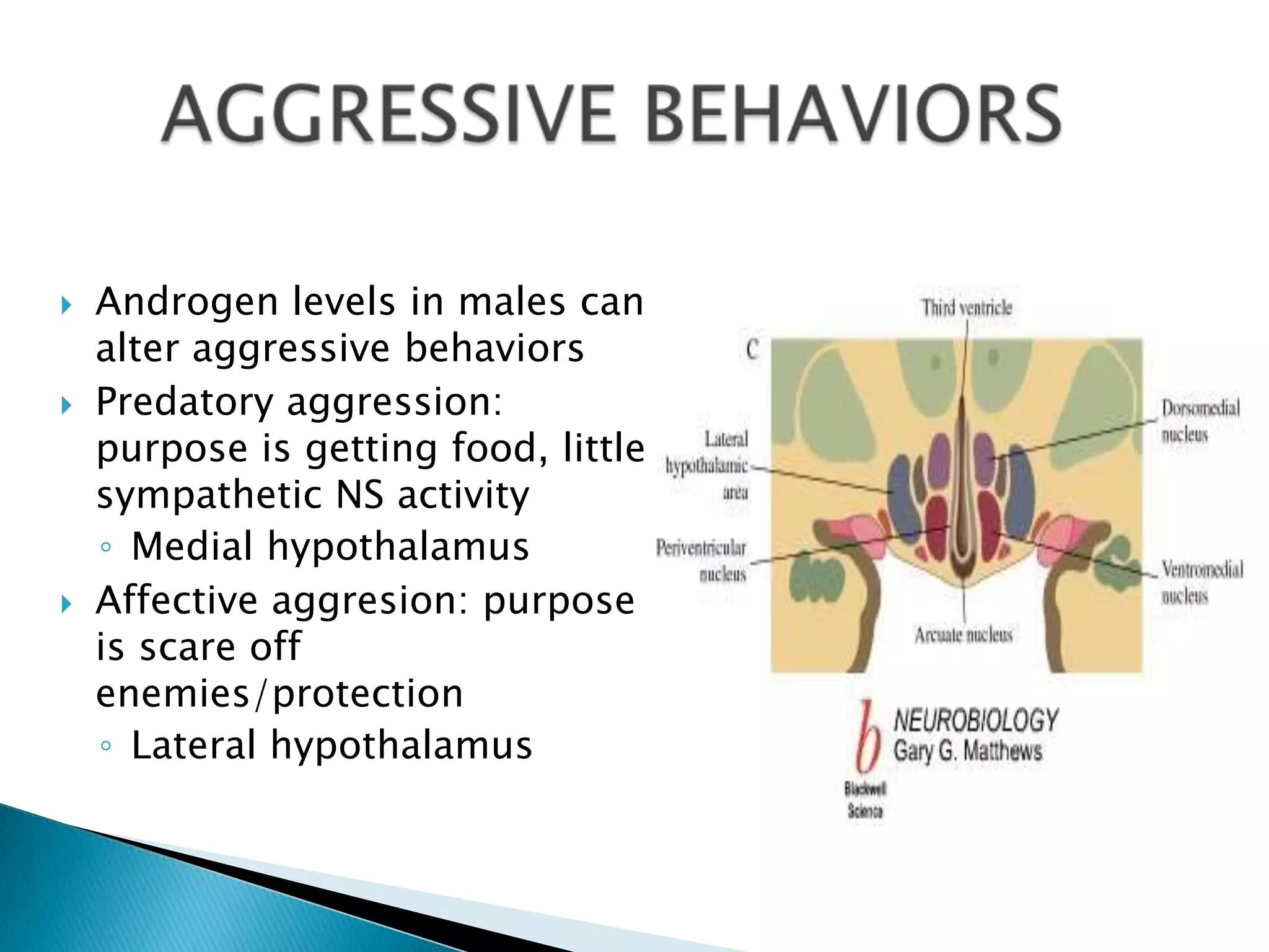    Androgen levels in males can
    alter aggressive behaviors
   Predatory aggression:
    purpose is getting food, little
    sympathetic NS activity
    ◦ Medial hypothalamus
   Affective aggresion: purpose
    is scare off
    enemies/protection
    ◦ Lateral hypothalamus
 