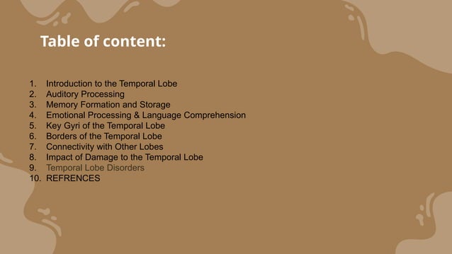 temporal lobe and its functions by ashmit.pptx