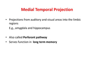 Medial Temporal Projection
• Projections from auditory and visual areas into the limbic
regions
E.g., amygdala and hippocampus
• Also called Perforant pathway
• Serves function in long term memory
 