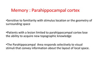 Memory : Parahippocampal cortex
•Sensitive to familiarity with stimulus location or the geometry of
surrounding space
•Patients with a lesion limited to parahippocampal cortex lose
the ability to acquire new topographic knowledge
•The Parahippocampal Area responds selectively to visual
stimuli that convey information about the layout of local space.
 
