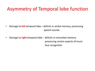 Asymmetry of Temporal lobe function
• Damage to left temporal lobe – deficits in verbal memory, processing
speech sounds
• Damage to right temporal lobe – deficits in nonverbal memory
processing certain aspects of music
face recognition
 